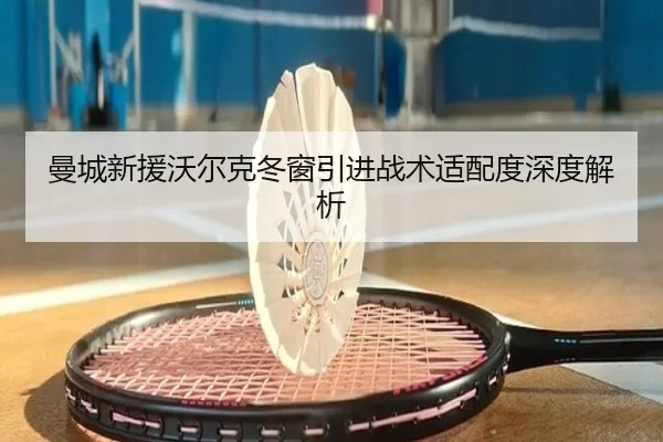 曼城新援沃尔克冬窗引进战术适配度深度解析
